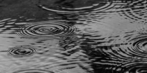 Event Canceled Due to Rain