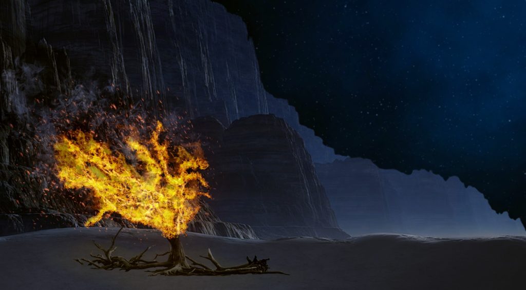The story of the burning bush and Moses’ encounter with God through it are considered as one of the crucial turning points in the salvation history of Israel.